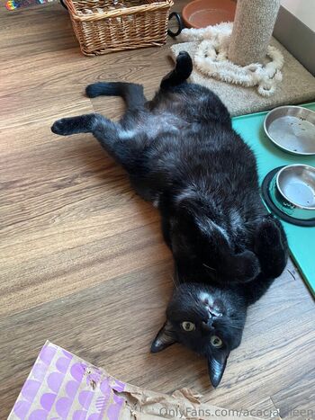 Full leaked Acacia eileen page private onlyfans photo