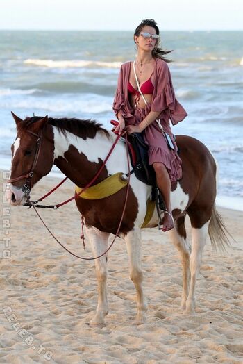 Full leaked Alessandra ambrosio  page private onlyfans photo