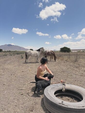 Full leaked Aloaguiii private onlyfans photo