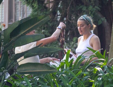 Full leaked Amber heard  page private onlyfans photo