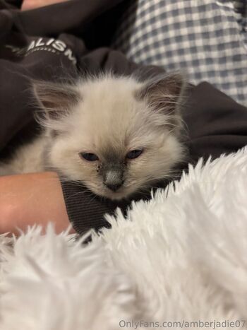 Full leaked Ambsjadie private onlyfans photo