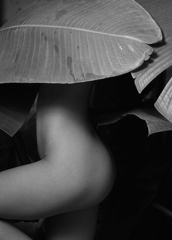 Anastasiia Zakharenko