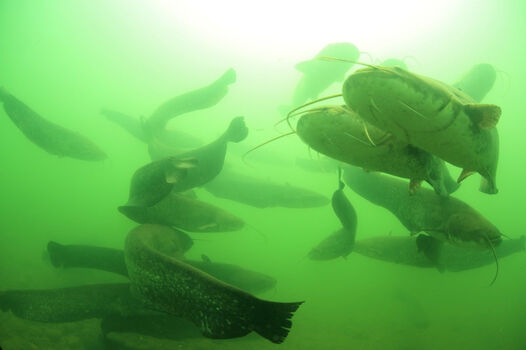 Full leaked Anjanamohan private onlyfans photo