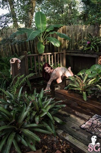 Full leaked Apex suicide page private onlyfans photo