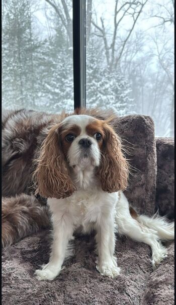 Full leaked Ashley tervort  page private onlyfans photo