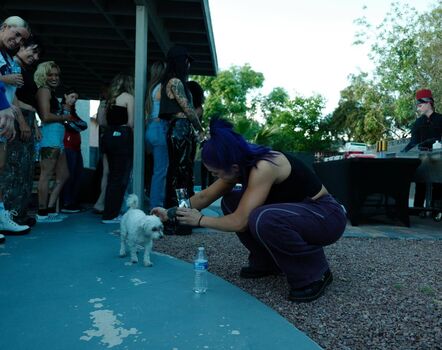 Full leaked Bayley private onlyfans photo