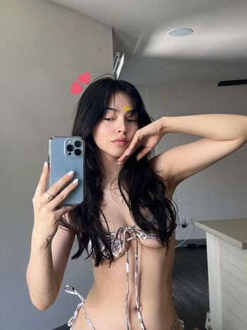 Bbaybeebirkin