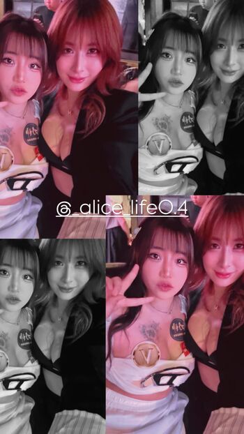 Blowshow Vip Collection