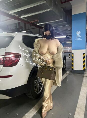 Boduoyejieni 妮妮子