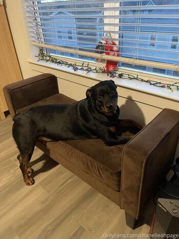 Full leaked Chanel anne private onlyfans photo