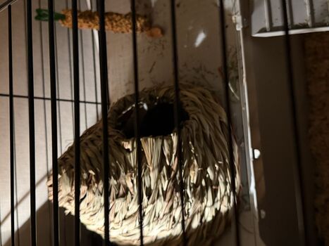 Full leaked Dahnikz private onlyfans photo