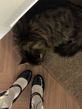 Full leaked Daturakisses page private onlyfans photo