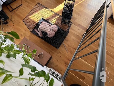 Full leaked Doe eyes page private onlyfans photo