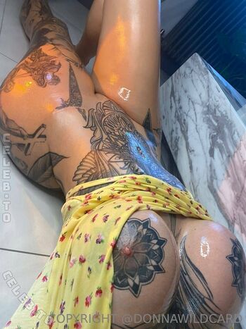 Full leaked Donna wild cat private onlyfans photo