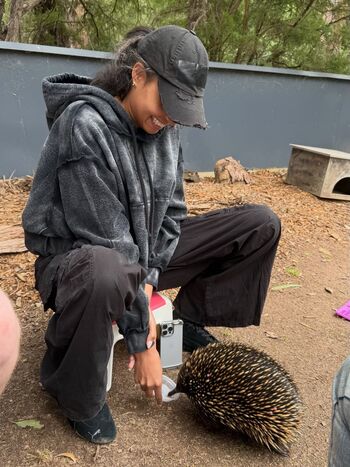 Full leaked Ella balinska page private onlyfans photo