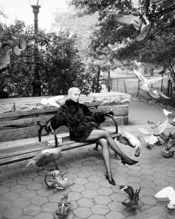 Full leaked Emma chamberlain page private onlyfans photo