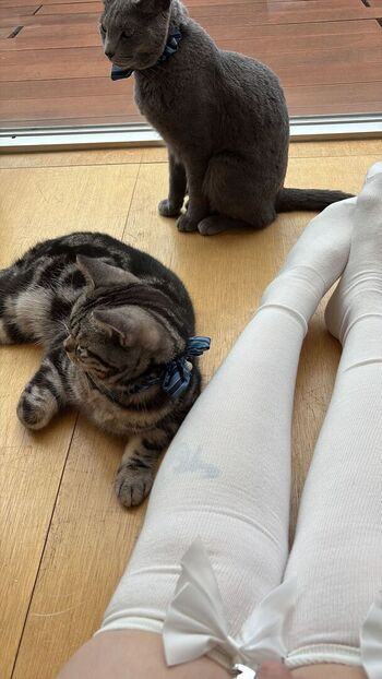 Full leaked Evahakalba page private onlyfans photo