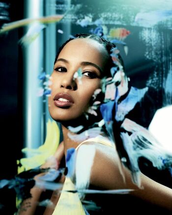 Fola Evans-Akingbola