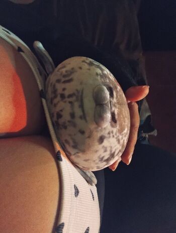 Full leaked Gemy gir fan private onlyfans photo