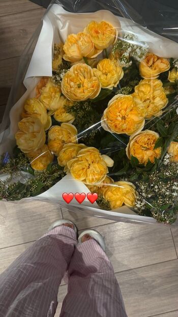 Full leaked Gensyxa twitch private onlyfans photo