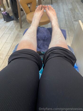 Gingerstoesies