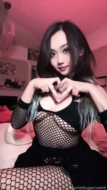 Full leaked Harriet sugarcookie page private onlyfans photo