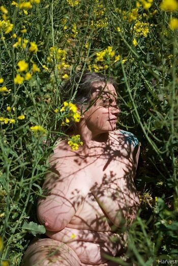 Full leaked Harvest page private onlyfans photo