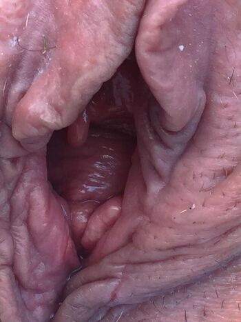 Full leaked Ibigpussykat private onlyfans photo