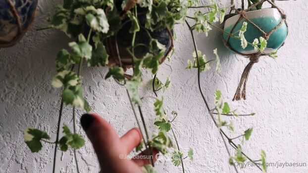 Full leaked Jaybaesun private onlyfans photo