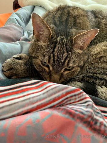 Full leaked Jessie rose private onlyfans photo