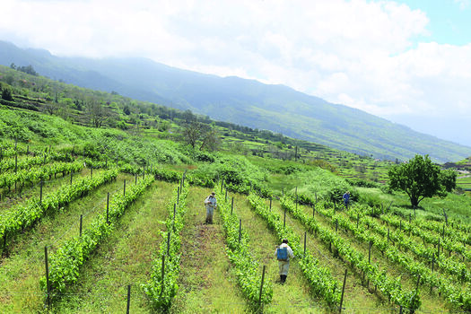 Full leaked Julia lyn private onlyfans photo