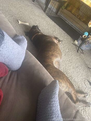 Full leaked Kaylanicole page private onlyfans photo