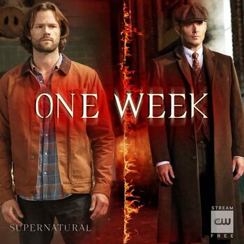 Full leaked Kira hoosier private onlyfans photo