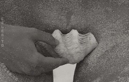 Full leaked Kristen kiehnle private onlyfans photo