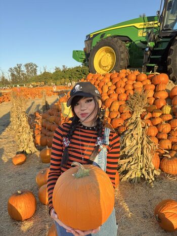 Full leaked Linaboobie private onlyfans photo