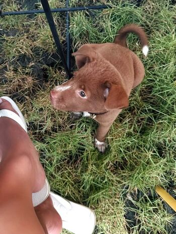 Full leaked Lisahannalee private onlyfans photo