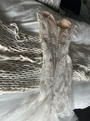 Full leaked Livbella private onlyfans photo