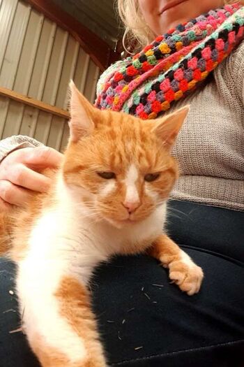 Full leaked Lola b private onlyfans photo