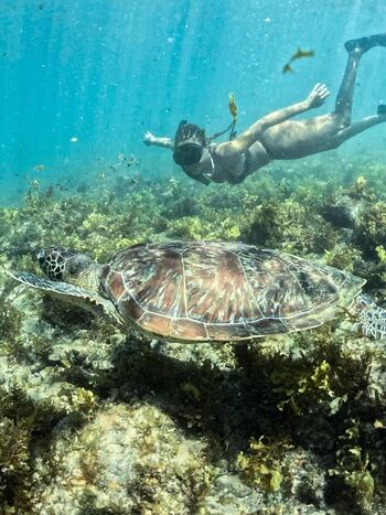 Full leaked Ludmilla private onlyfans photo