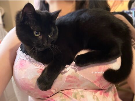 Full leaked Lumineiia page private onlyfans photo