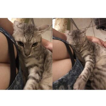 Full leaked Maipei private onlyfans photo