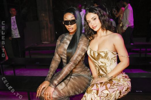 Full leaked Megan thee stallion  page private onlyfans photo