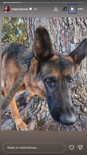 Full leaked Melonie mac page private onlyfans photo