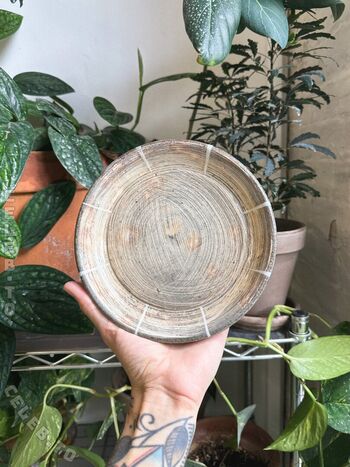 Full leaked Mickey page private onlyfans photo