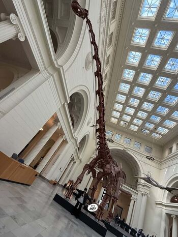 Full leaked Minatozaki sana private onlyfans photo