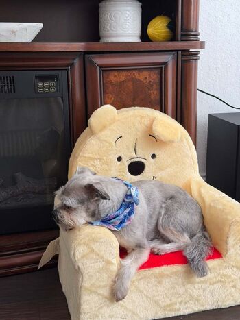 Full leaked Miranda blakeslee private onlyfans photo