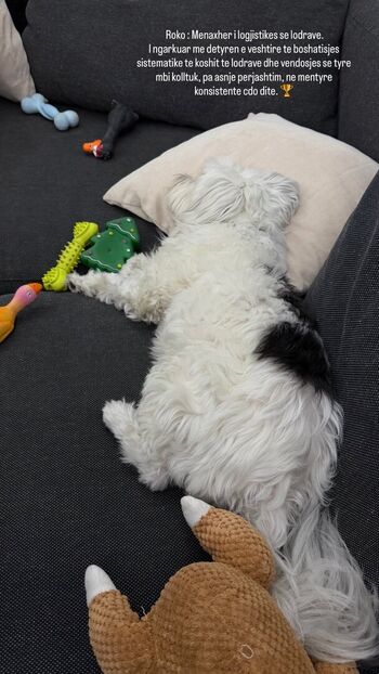 Full leaked Nevina shtylla private onlyfans photo