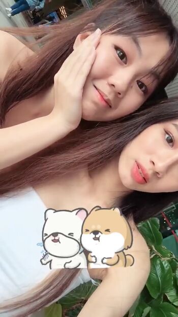 Nicolecrayon