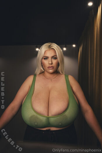 Full leaked Nina phoenix page private onlyfans photo