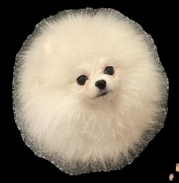 Full leaked Nonsummerjack private onlyfans photo